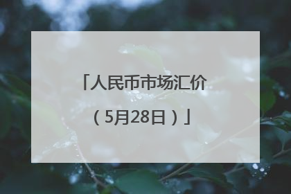 人民币市场汇价（5月28日）